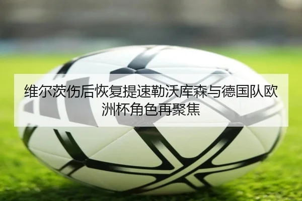 维尔茨伤后恢复提速勒沃库森与德国队欧洲杯角色再聚焦